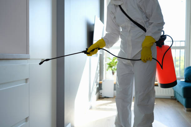 Best Office Mold Removal Services  in Friday Harbor, WA