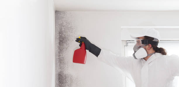 Best Emergency Mold Removal  in Friday Harbor, WA